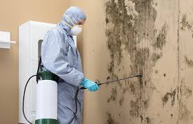 Mount Olive, AL Mold Removal Services Company